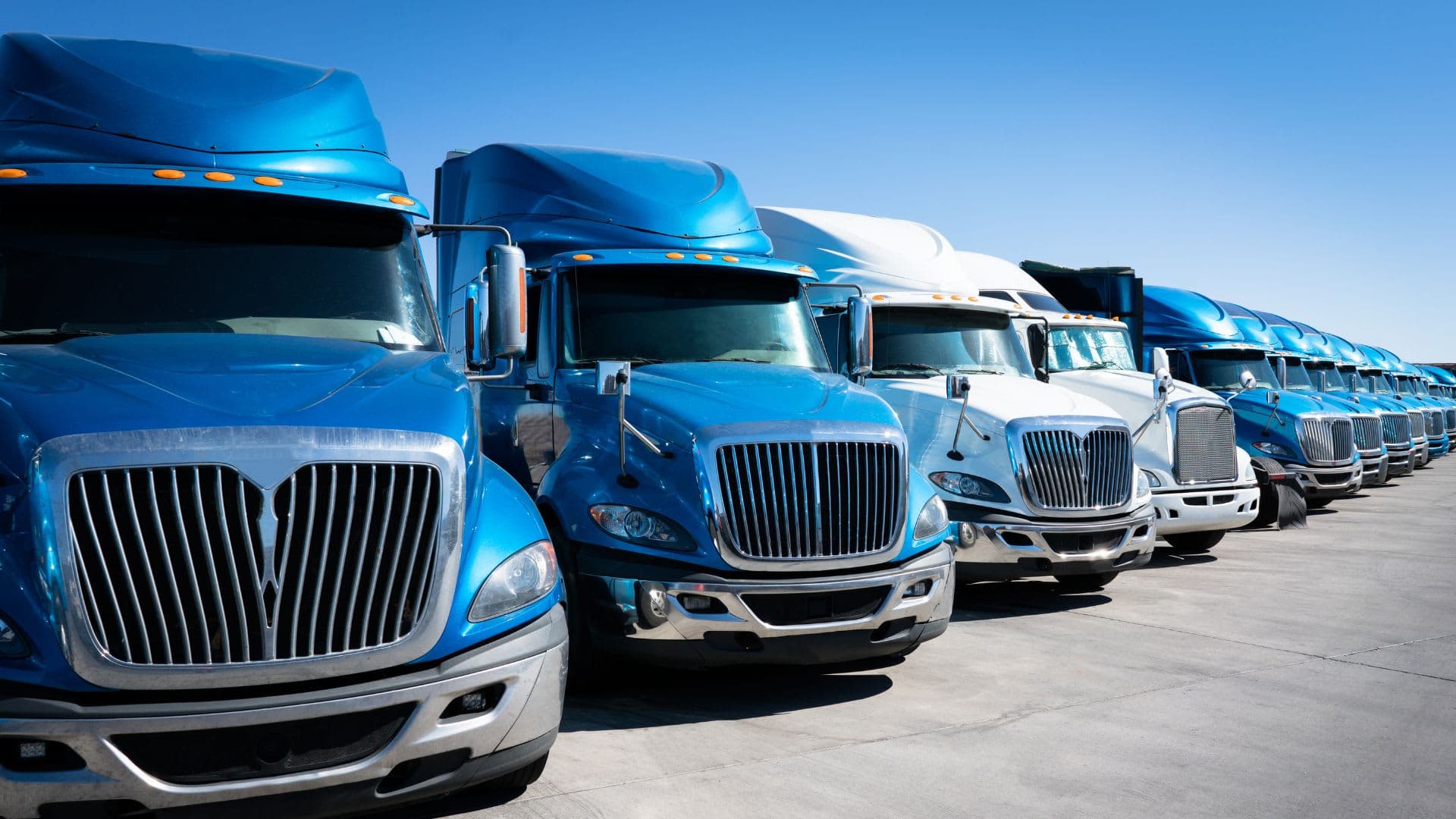 A row of semi-trucks in a parking lot